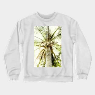 Tall Palm tree Crewneck Sweatshirt